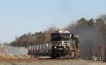 NS 8015 leads train 218 southbound 